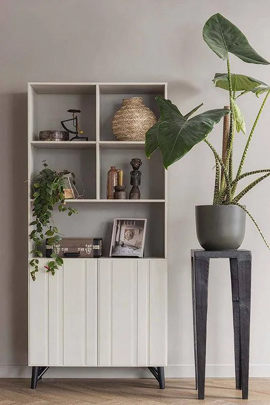 Miller Dust Pine Wood 2 Doors Cabinet